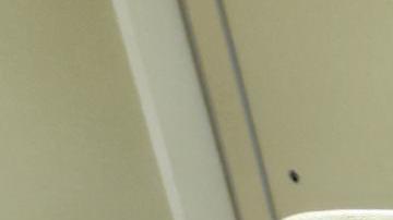 EE.UU. estudia impacto ambiental para construir otro puente ferroviario entre Texas y México