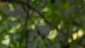 Haití lleva años en crisis pero la inseguridad ha aumentado por los ataques de bandas criminales.