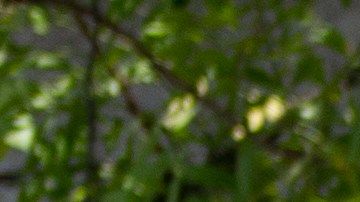 Haití lleva años en crisis pero la inseguridad ha aumentado por los ataques de bandas criminales.