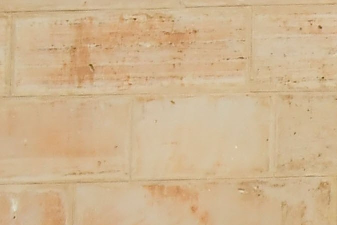 La plantilla del Mallorca fue recibida por las autoridades baleares a su regreso a Palma luego de la final del a Copa del Rey que perdieron ante el Athletic Club.