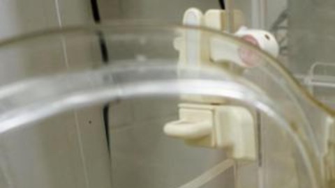 La bebé fue rescatada del vientre de su madre con 7 meses y medio de gestación.