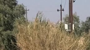 Un funcionario ministerial señaló que la explosión dejó "un muerto y ocho heridos".