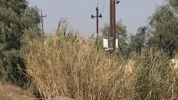 Un funcionario ministerial señaló que la explosión dejó "un muerto y ocho heridos".