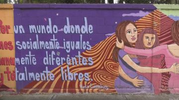 El último inform de la CEPAL indica que las tasas más altas de feminicidios se registraron en Honduras, República Dominicana, El Salvador y Uruguay.