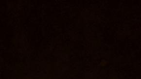 Vaticano: el cambio de sexo amenaza la dignidad humana