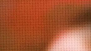 Memorias póstumas de Navalni serán publicadas en octubre