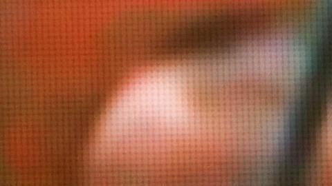 Memorias póstumas de Navalni serán publicadas en octubre