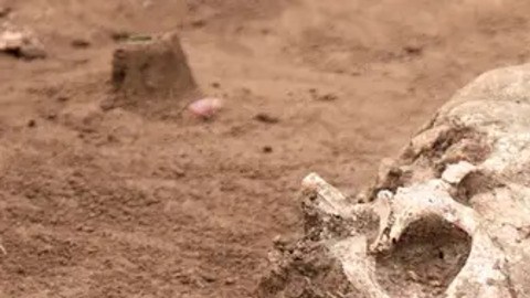 Arqueología