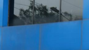 La UE condena asalto a la embajada mexicana en Ecuador