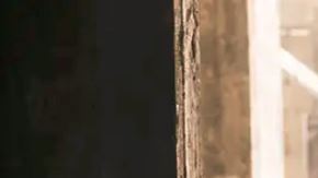 Gaza: nuevo plan de tregua incluye demandas de Hamás