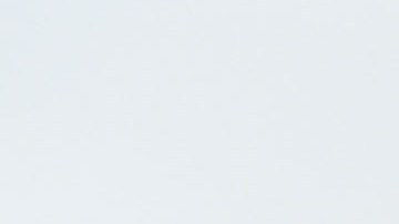 PALMA DE MALLORCA, 08/04/2024.- La presidenta del Govern Balear Marga Prohens (i) saluda al entrenador del Mallorca, Javier Aguirre (d), durante la recepción oficial de autoridades al RCD Mallorca tras proclamarse subcampeón de la Copa del Rey, este lunes en el Consolat de Mar, en Palma de Mallorca. EFE/MIQUEL A. BORRÀS