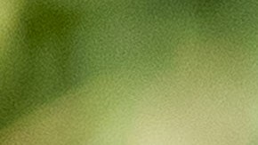 El presidente de Venezuela Nicolás Maduro.