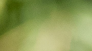 El presidente de Venezuela Nicolás Maduro.