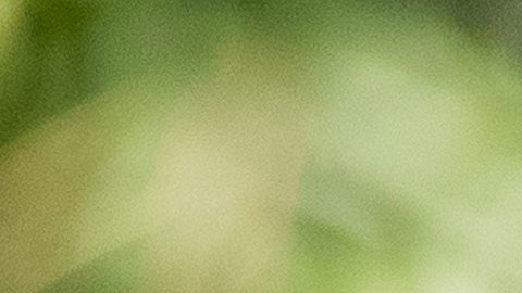 El presidente de Venezuela Nicolás Maduro.