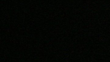 A ring girl during the Dan Hardy Marcus Davis Ultimate Fighting Championship bout in Cologne, Germany, on Saturday, June 13, 2009. The Ultimate Fighting Championship UFC is the world leading professional mixed martial arts MMA organization. **Eds Note: German spelling of Cologne is Koeln** (AP Photo/Hermann J. Knippertz)