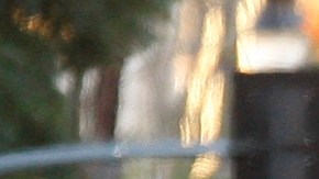 Los Angeles County Fire Department paramedics take into custody a man police say is a suspect in a fatal shooting and stand-off at an apartment building in the Hollywood section of Los Angeles, after hours of negotiations by the Los Angeles Police Department on Tuesday, Jan. 4, 2011. (AP Photo/Damian Dovarganes)