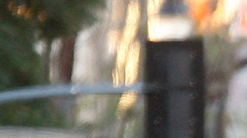 Los Angeles County Fire Department paramedics take into custody a man police say is a suspect in a fatal shooting and stand-off at an apartment building in the Hollywood section of Los Angeles, after hours of negotiations by the Los Angeles Police Department on Tuesday, Jan. 4, 2011. (AP Photo/Damian Dovarganes)