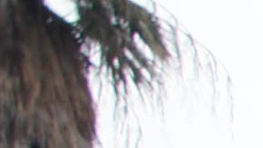 A fire truck carrying the remains of fallen Los Angeles Firefighter Glenn Allen passes in review outside the Cathedral of Our Lady of the Angels Friday, Feb 25, 2011 in Los Angeles. Allen was fatally injured last week while battling a blaze in a Hollywood Hills mansion. (AP Photo/Nick Ut)