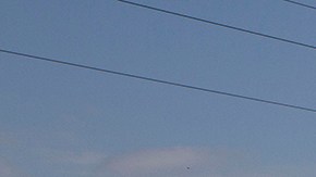 Violencia en Tamaulipas