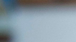 Sandy, a terrier mix, waits for a treat while at work with her owner at Authentic Entertainment in Burbank, Calif., Monday, June 11, 2012. Sandy is one of millions of dogs that accompany their owners to dog-friendly businesses across the country every day. Even more will join her next Friday for Take Your Dog to Work Day. (AP Photo/Grant Hindsley)