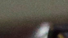 Florida está entre los estados que cuentan con mayor población de hispanos en EE.UU.