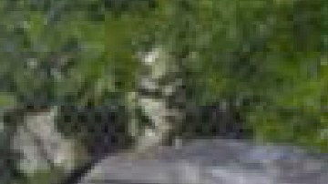 En promedio, 112 personas murieron al día en accidentes de auto en Estados Unidos durante 2023