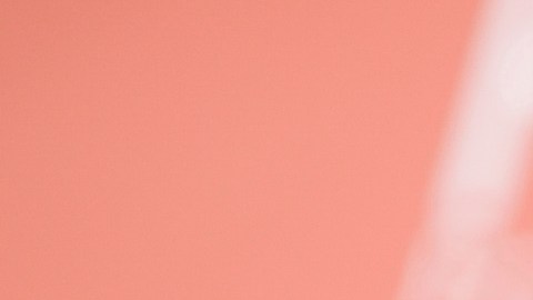 Frances Bean Cobain, hija del líder de la banda "Nirvana", Kurt Cobain | Foto: Mezcalent