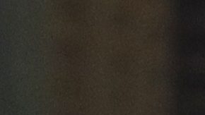 Julio César Chávez Jr.