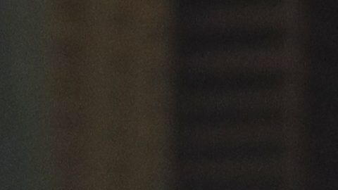 Julio César Chávez Jr.