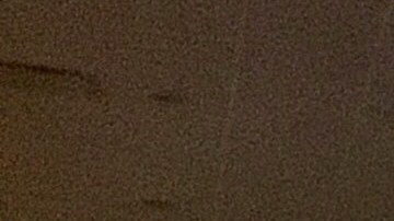 DHS advierte que servicios de emergencia son un objetivo probable para los ciberataques