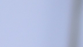 “No es bonita y no sabe actuar”, las criticas de una productora a Sydney Sweeney