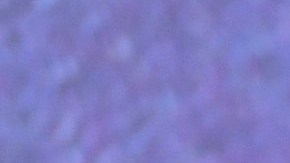 Drake se ofreció a pagar el divorcio de un fanático