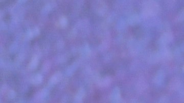 Drake se ofreció a pagar el divorcio de un fanático