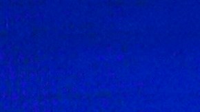 El presidente Joe Biden y el senador Bernie Sanders.