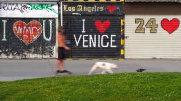A skateboarder is pulled by a dog on the Venice Beach Boardwalk during the coronavirus outbreak, Saturday, April 25, 2020, in the Venice section of Los Angeles. (AP Photo/Mark J. Terrill)