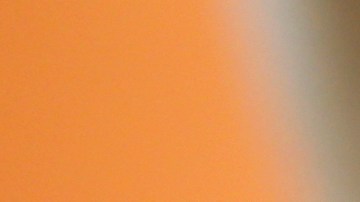 FILE - In this June 13, 2018 file photo, a group of dogs at the Miami-Dade Animal Services Pet Adoption and Protection Center peer out of an outdoor play area in Doral, Fla. As you spend prolonged periods of time indoors, you may be considering adopting or purchasing a puppy. But before you make the decision to bring a puppy home, make sure you do thorough research. Start by evaluating the readiness of your budget, lifestyle and household.(AP Photo/Wilfredo Lee, File)