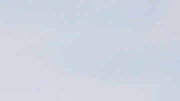 Los inmigrantes indocumentados aportan su trabajo y pagan sus impuestos.