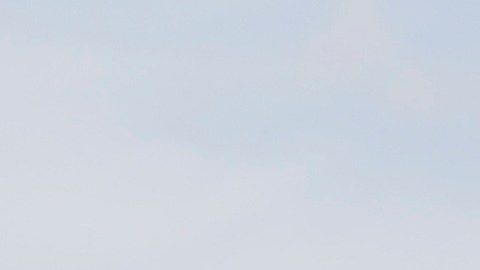 Los inmigrantes indocumentados aportan su trabajo y pagan sus impuestos.