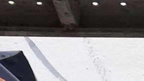 Artistas pintan un mural de Los Supercampeones.