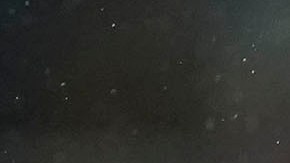 La última vez que Guillermo "Memo" Ochoa había jugado con el Salernitana había sido el pasado 9 de marzo en la derrota ante el Cagliari (4-2).