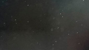 La última vez que Guillermo "Memo" Ochoa había jugado con el Salernitana había sido el pasado 9 de marzo en la derrota ante el Cagliari (4-2).