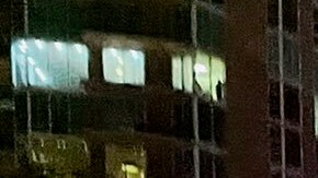 Una mujer fue asesinada a golpes en un punto turístico de Miami Beach