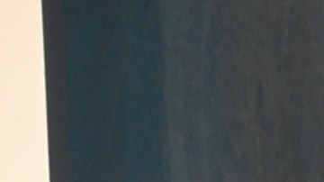 Sofía Vergara y Joe Manganiello