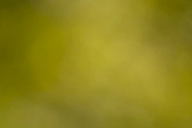 A Waymo self-driving vehicle sits curbside, Friday, Dec. 16, 2022, at the Sky Harbor International Airport Sky Train facility in Phoenix. Phoenix Mayor Kate Gallego announced Friday that Sky Harbor will be the first airport to have self-driving, ride-hailing service Waymo available. A test group has been using Waymo vehicles from the airport's sky train to downtown Phoenix since early November.(AP Photo/Matt York)