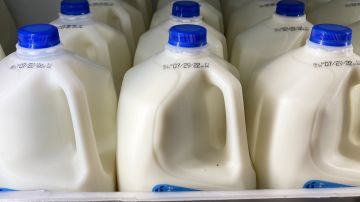 FDA en alerta por rastros del virus de la gripe aviar en algunas leches y productos lácteos pasteurizados