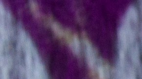 Maluma se une a The Voice como mentor en los Playoffs