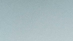 Científicos alertan tras ataque de macacos en Hong Kong que provocó el primer caso humano de virus B