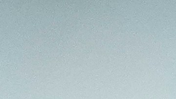 Científicos alertan tras ataque de macacos en Hong Kong que provocó el primer caso humano de virus B