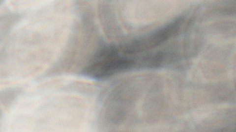 A runner makes her way along the path at Gray's Lake Park, Friday, April 14, 2023, in Des Moines, Iowa. (AP Photo/Charlie Neibergall)