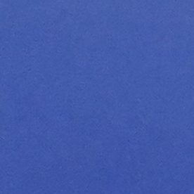 Ramón Díaz dirigió al América en más de 20 partidos.